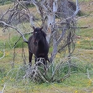 Meet your Posher, Sheri